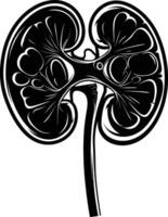 AI generated Silhouette for internal organs of the kidney black color only vector