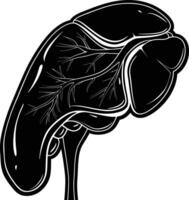 AI generated Silhouette for internal organs of the liver black color only vector