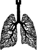 AI generated Silhouette for internal organs of the lungs black color only vector