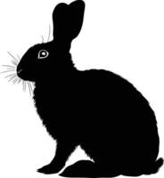 AI generated Silhouette rabbit black color only full body vector