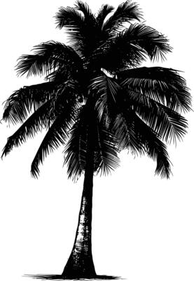 AI generated Silhouette coconut tree black color only