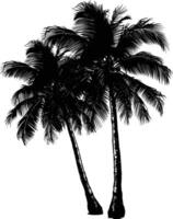 AI generated Silhouette coconut tree black color only vector