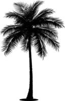 AI generated Silhouette coconut tree black color only vector