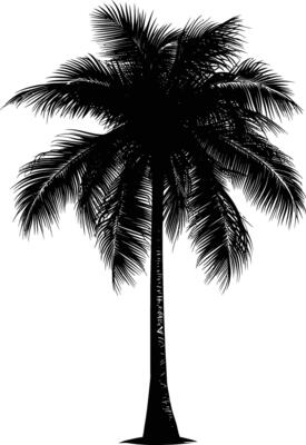 AI generated Silhouette coconut tree black color only