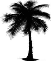 AI generated Silhouette coconut tree black color only vector