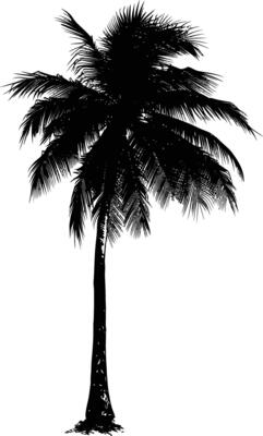 AI generated Silhouette coconut tree black color only