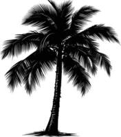 AI generated Silhouette coconut tree black color only vector