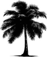 AI generated Silhouette coconut tree black color only vector