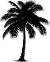 AI generated Silhouette coconut tree black color only vector