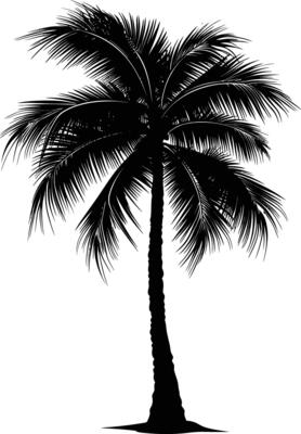 AI generated Silhouette coconut tree black color only