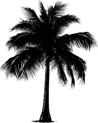 AI generated Silhouette coconut tree black color only