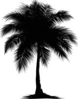 AI generated Silhouette coconut tree black color only vector