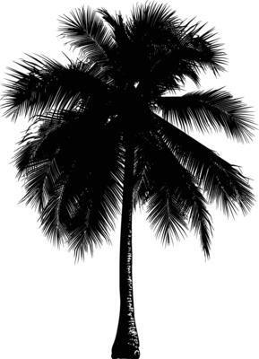AI generated Silhouette coconut tree black color only