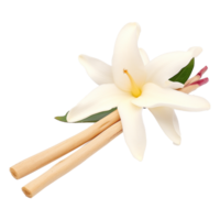 AI generated Vanilla stick isolated on transparent background png