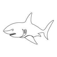 Continuous line art Hand drawn shark outline vector illustration