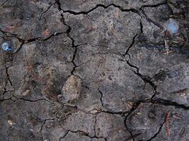 Cracked earth, cracked soil. dry and broken. photo