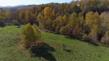 autunno paesaggio aereo metraggio video