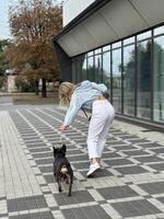 un cansado perro devoluciones desde un caminar. niña y perro en un Correa, posterior vista. caminando en un calentar otoño día con un perro en un ciudad calle. foto