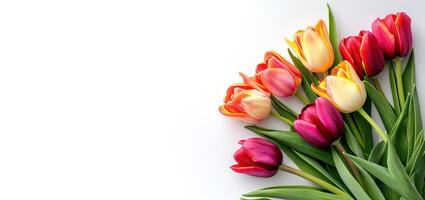 AI generated Tulips on a white background. Festive floral concept with place for text for Women's Day, March 8, Mother's Day, Easter. Bouquet of tulips on white background. Top view. photo