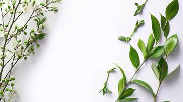 AI generated Spring floral banner with cherry plum branch at the beginning of flowering on a white background with space for text. Minimalism. photo