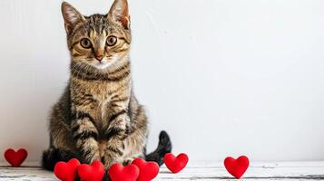 AI generated Cute cat with red hearts on a white background with space for text. A charming sweet kitten looks straight into the camera. Concept for Valentine's Day. photo