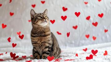 AI generated Beautiful tabby cat with red hearts on a white background. photo