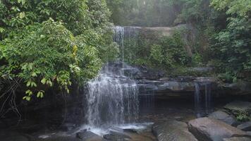 Wasserfall im zauberhaft Urwald video