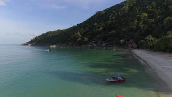 volo al di sopra di tropicale spiaggia video