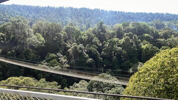 Bridge Rainforest Suspension bridge Crossing the river ferriage in the woods with mountain view photo