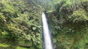 hermosa cascada, llamado curug aserrador en el medio de Indonesia selva, asiático bosque oculto joya foto
