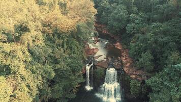 drone capture cascade dans forêt tropicale video