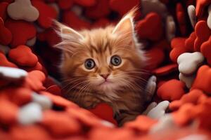 ai generado retrato de un linda pequeño despojado mullido Doméstico gato en un rojo antecedentes con amor corazones foto