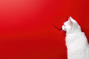 ai generado retrato de un linda pequeño Doméstico gato en un rojo antecedentes con amor corazón. foto