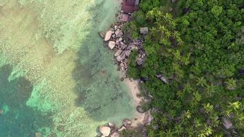 explorador koh tao tropical playas video