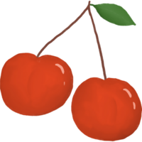 cherry clipart. watercolor style. isolated on transparent background png