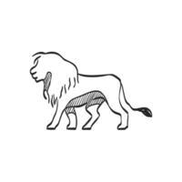 Hand drawn sketch icon lion vector