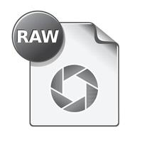 RAW file format icon in color. Data computer information vector