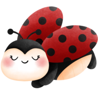 Baby ladybug watercolor clipart, Cheerful  cute animal illustration. png
