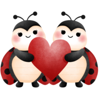 carino coppia coccinella con rosso cuore nel un' cartone animato San Valentino illustrazione, acquerello amore insetto clipart. png