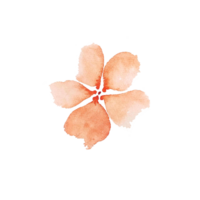 watercolor simple peach flowers png