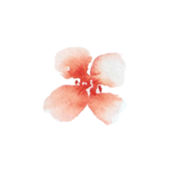watercolor simple peach flowers png