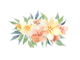 watercolor simple peach flowers png