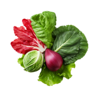 AI generated Vegetables png isolated on transparent background