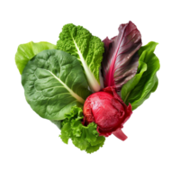 AI generated Vegetables png isolated on transparent background