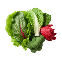 AI generated Vegetables png isolated on transparent background