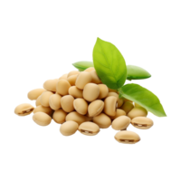 AI generated Soya beans isolated on transparent background png