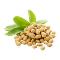 AI generated Soya beans isolated on transparent background png