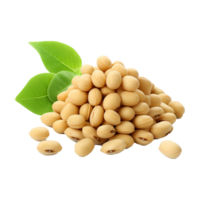 AI generated Soya beans isolated on transparent background png