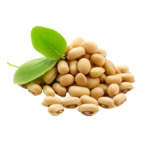 AI generated Soya beans isolated on transparent background png