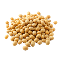 AI generated Soya beans isolated on transparent background png